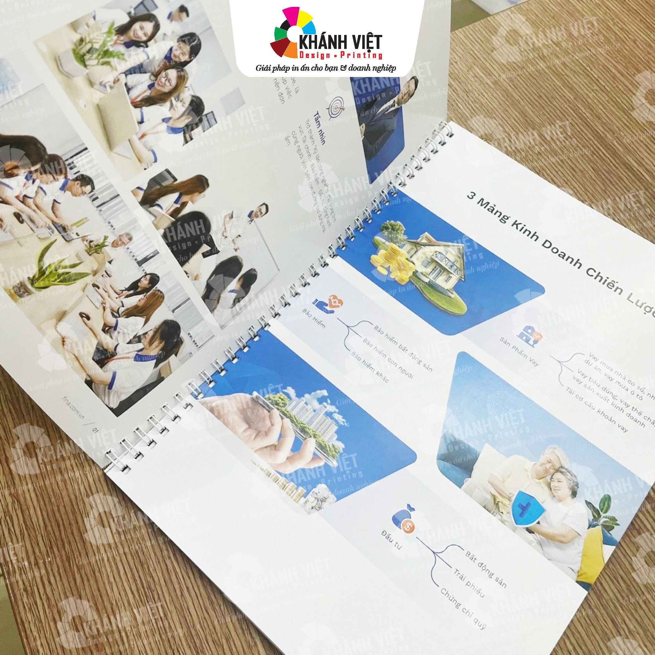 Mẫu hồ sơ năng lực công ty chuyên nghiệp - 1