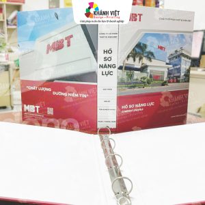 Mẫu hồ sơ năng lực công ty chuyên nghiệp - 10