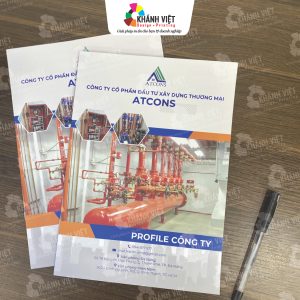 Mẫu hồ sơ năng lực công ty chuyên nghiệp - 11