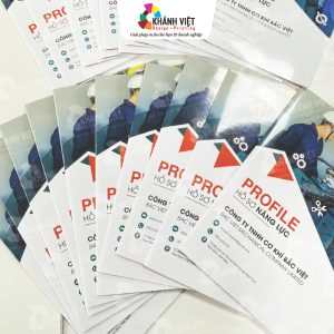 Mẫu hồ sơ năng lực công ty chuyên nghiệp - 14