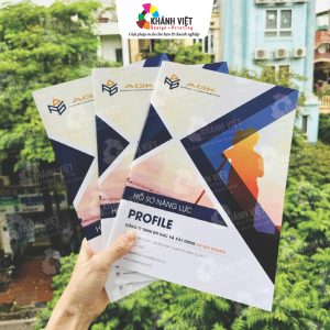 Mẫu hồ sơ năng lực công ty chuyên nghiệp - 15