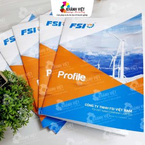 Mẫu hồ sơ năng lực công ty chuyên nghiệp - 5