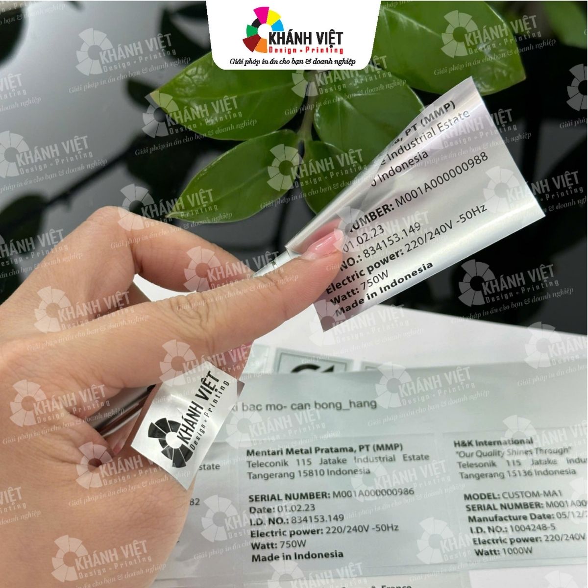 Mẫu tem nhãn decal xi bạc chuyên nghiệp - 6