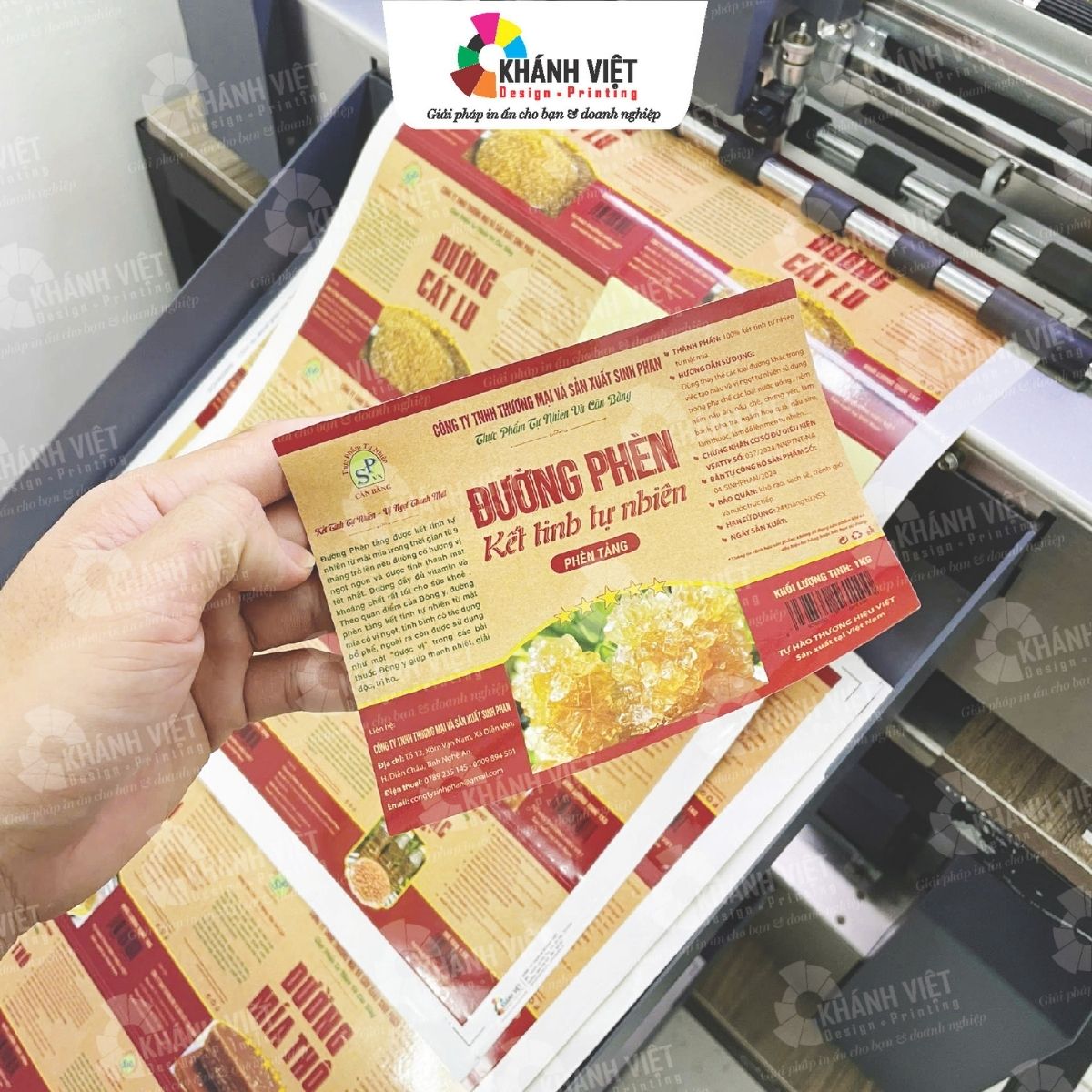 Mẫu tem thực phẩm đẹp, thiết kế chuyên nghiệp - 11