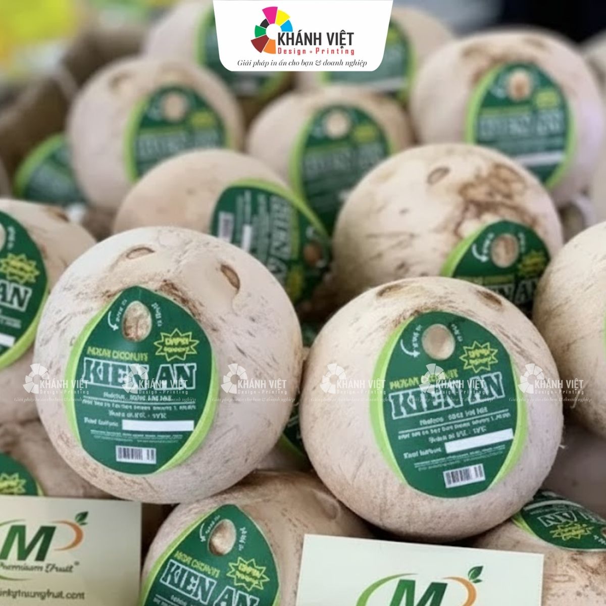 Tem trái cây tương đẹp mắt