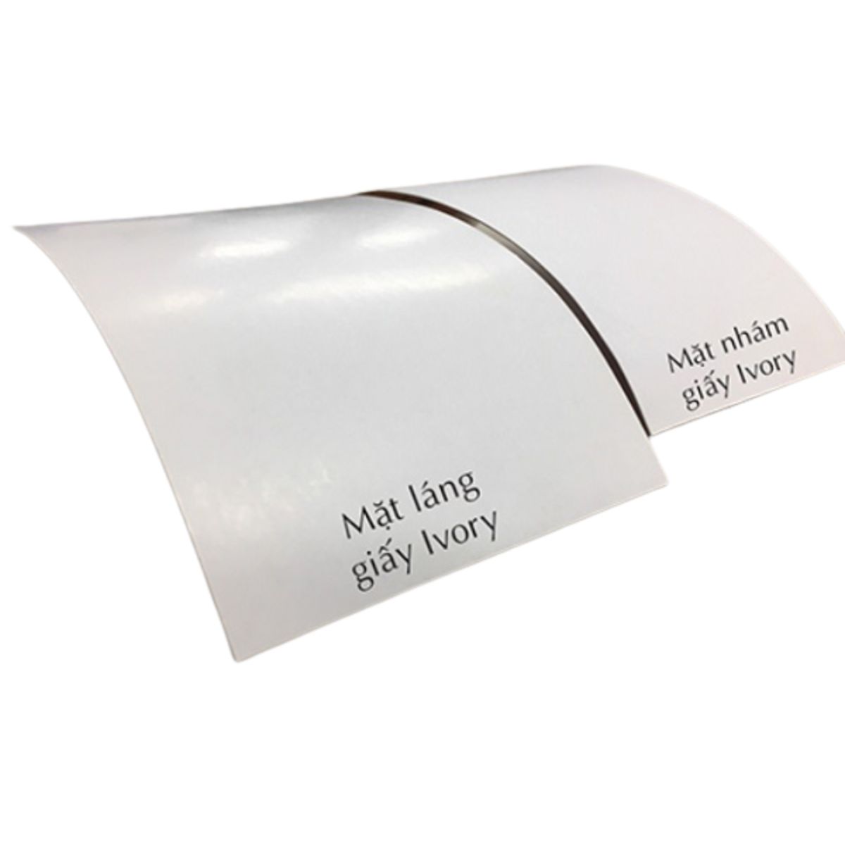 Đặc điểm của giấy Ivory