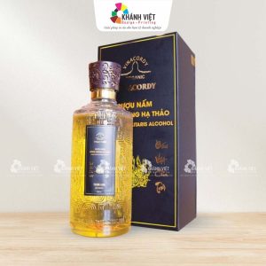 Hộp đựng rượu đông trùng hạ thảo