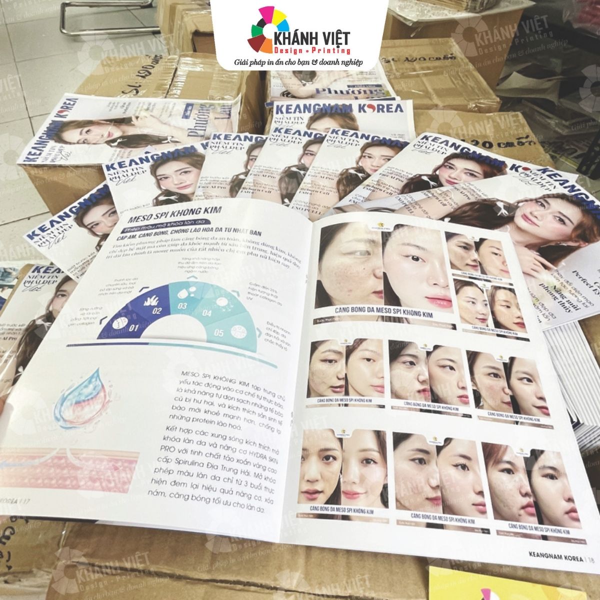 Mẫu tạp chí, sách báo đẹp mắt - 2