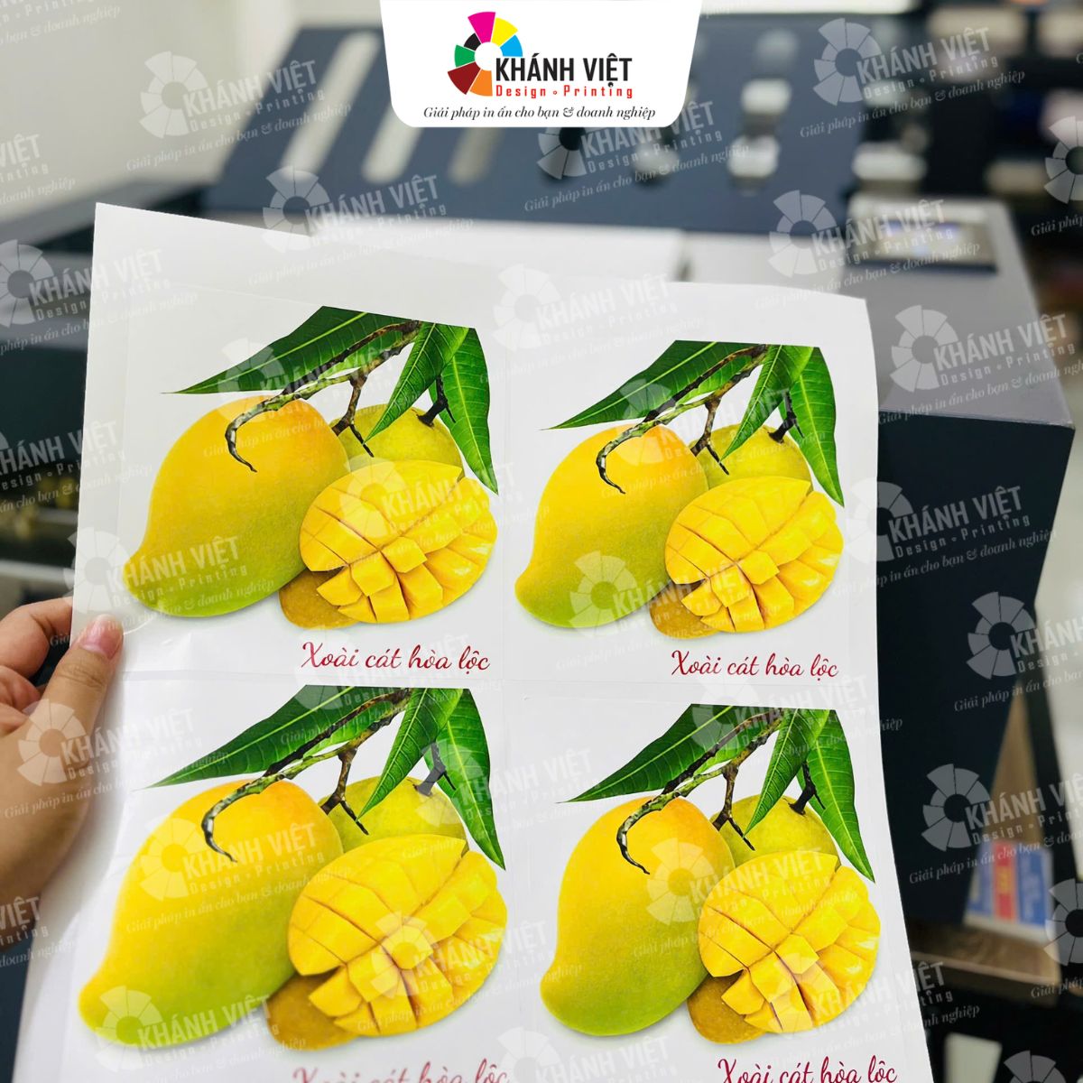 Tem trái xoài tươi