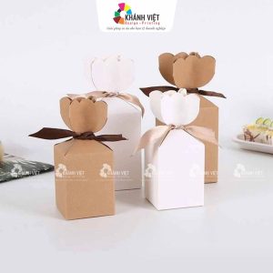 Mẫu hộp giấy Kraft đẹp mắt, độc đáo, tiện lợi - 13