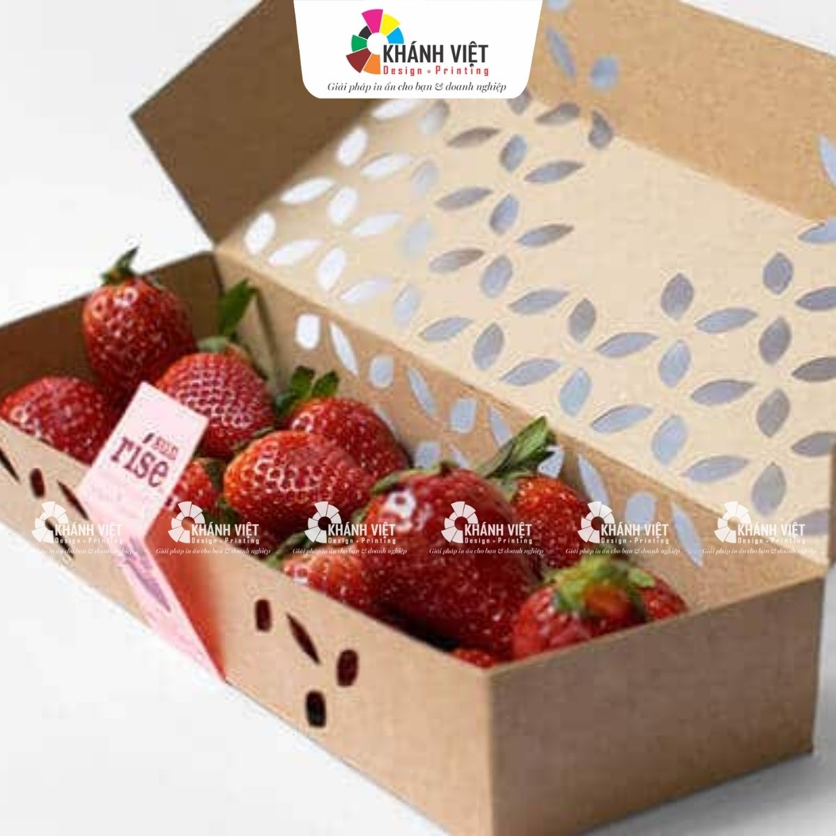 Đặc điểm của các mẫu hộp giấy đựng trái cây