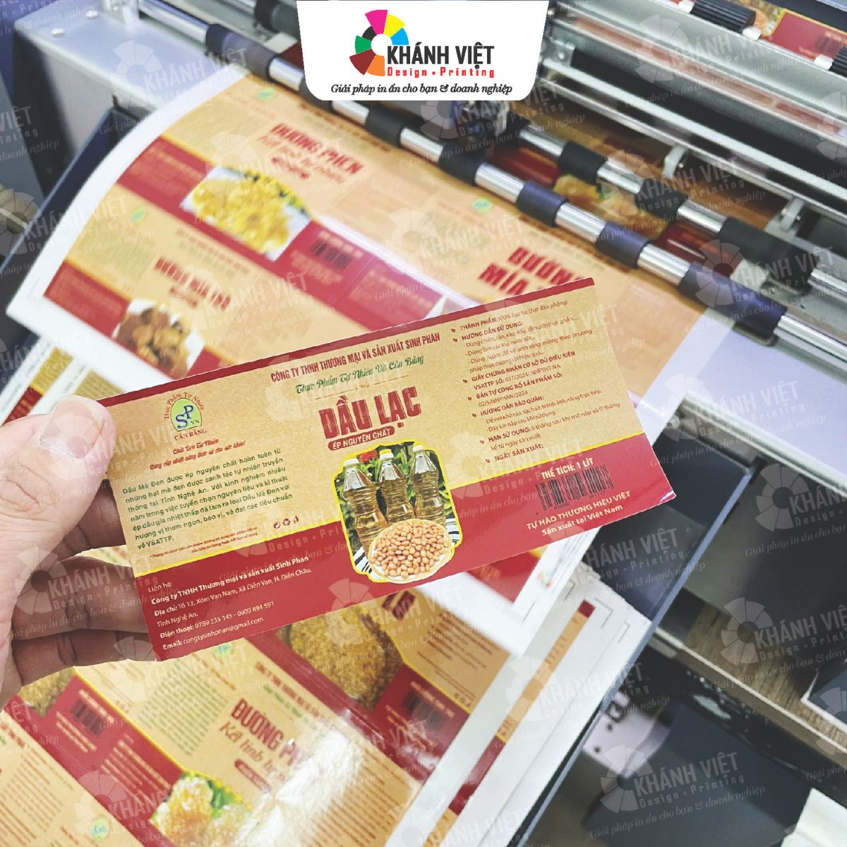Tem nhãn dầu ăn, dầu lạc, dầu thực vật đẹp - 01