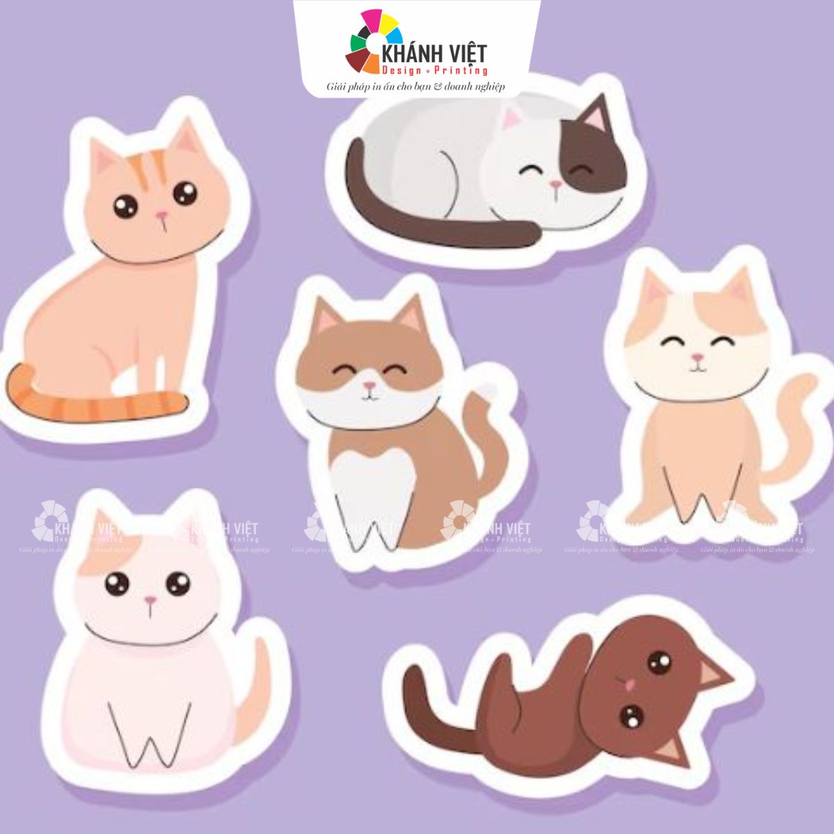 Mèo mơ mộng