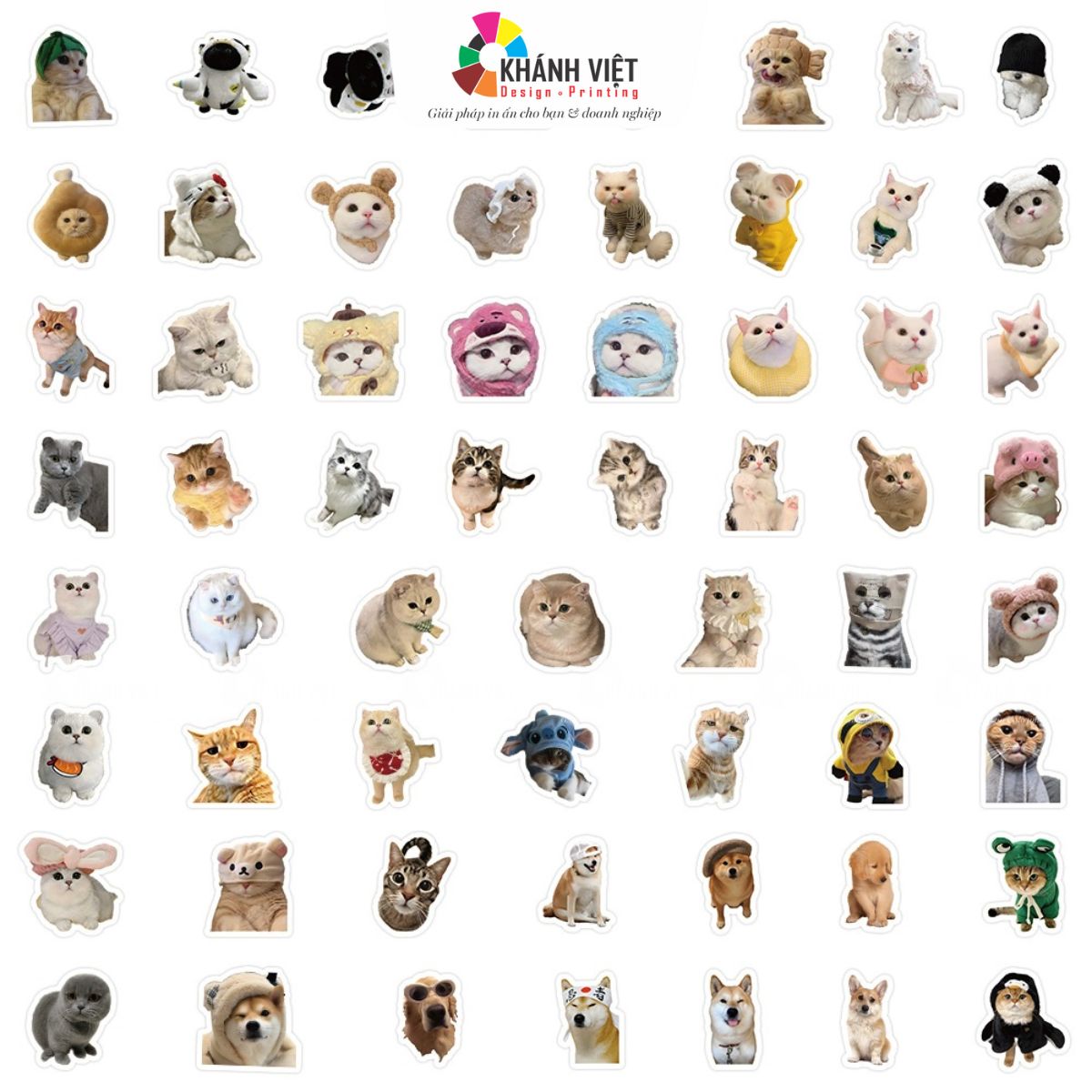 Sticker mèo cute, hài hước