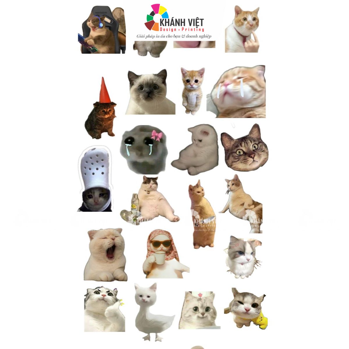 Sticker meme mèo con