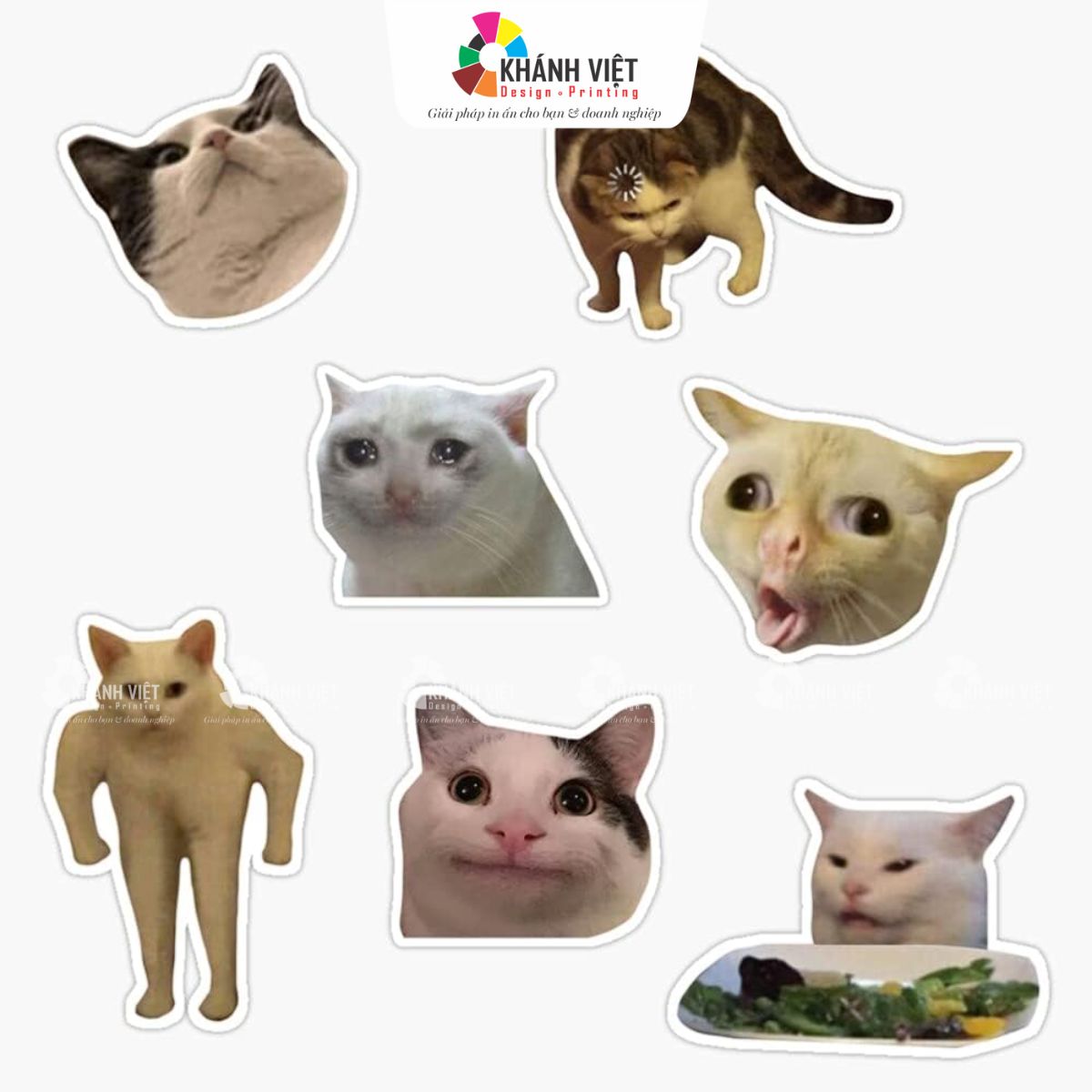 Mêm mèo vui nhộn