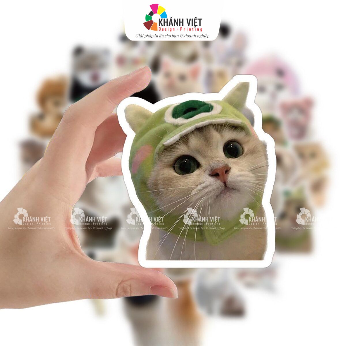Mèo cute, đáng yêu quá xịn