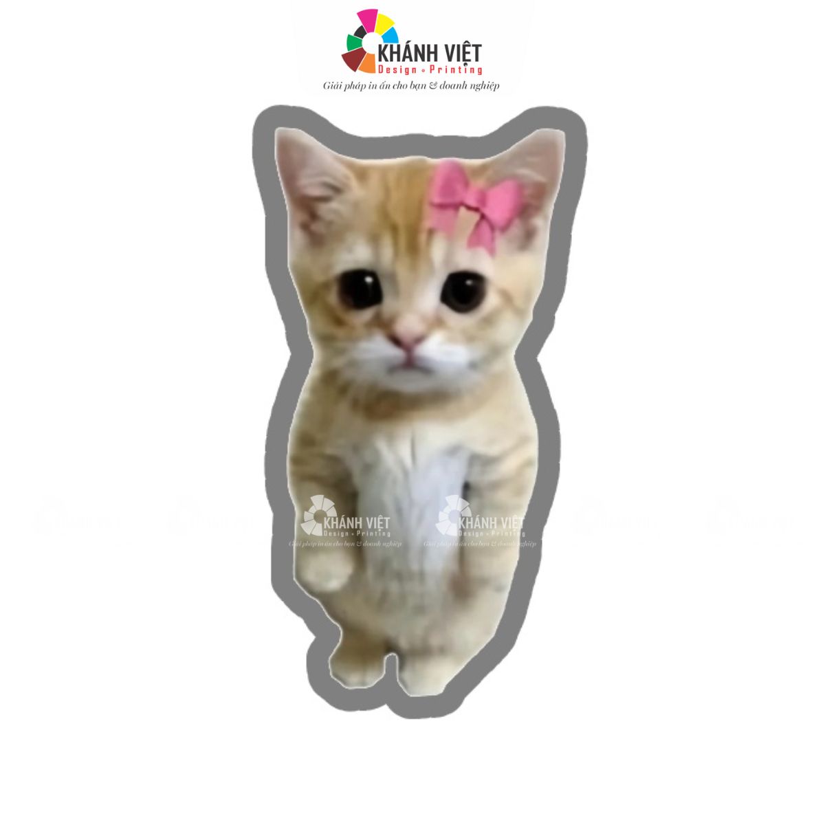 Bé mèo cute hơi buồn