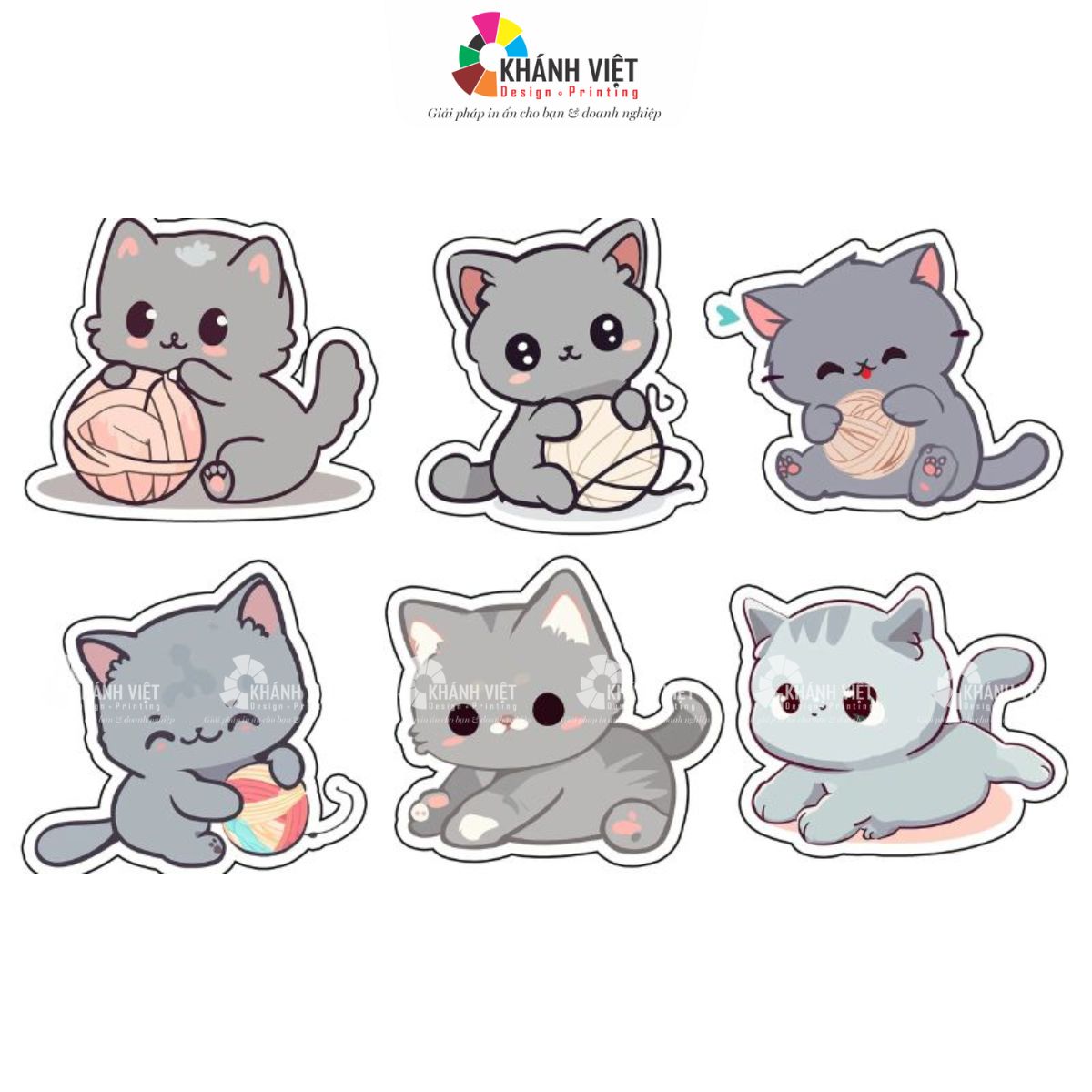 Mèo xám cute