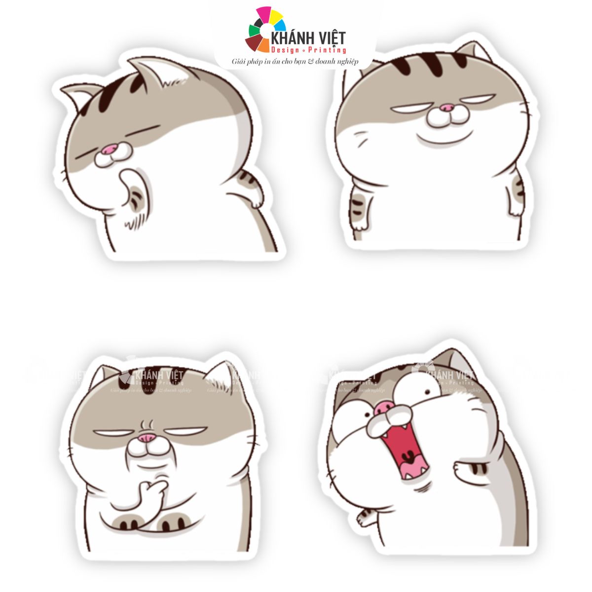 Biểu cảm của mèo Ami