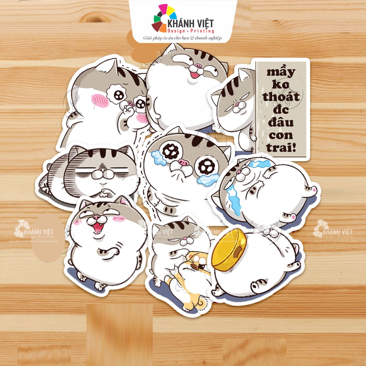 Sticker mèo Ami bụng phệ