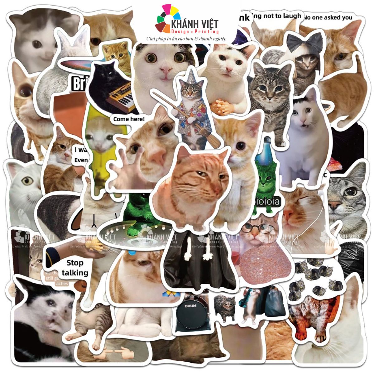 Sticker mèo hóm hỉnh, hài hước, cute