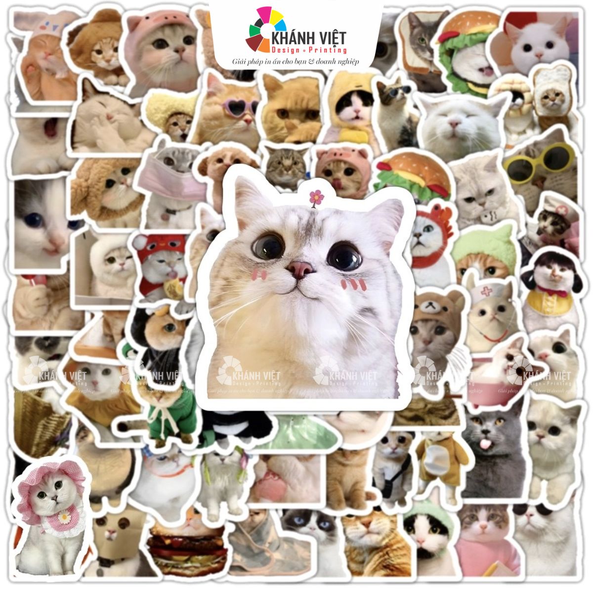 Sticker mèo cute, dễ thương vô đối