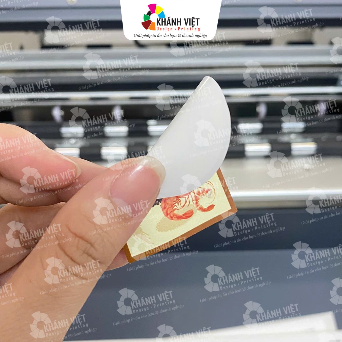 Tem nhãn muối tôm làm bằng chất liệu decal giấy