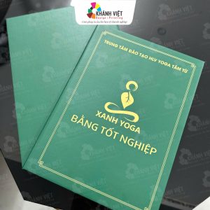 Bìa đựng bằng khen, giấy khen đẹp mắt - 15