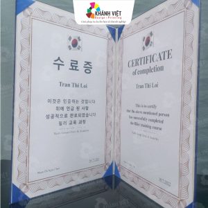 Bìa đựng bằng khen, giấy khen đẹp mắt - 12