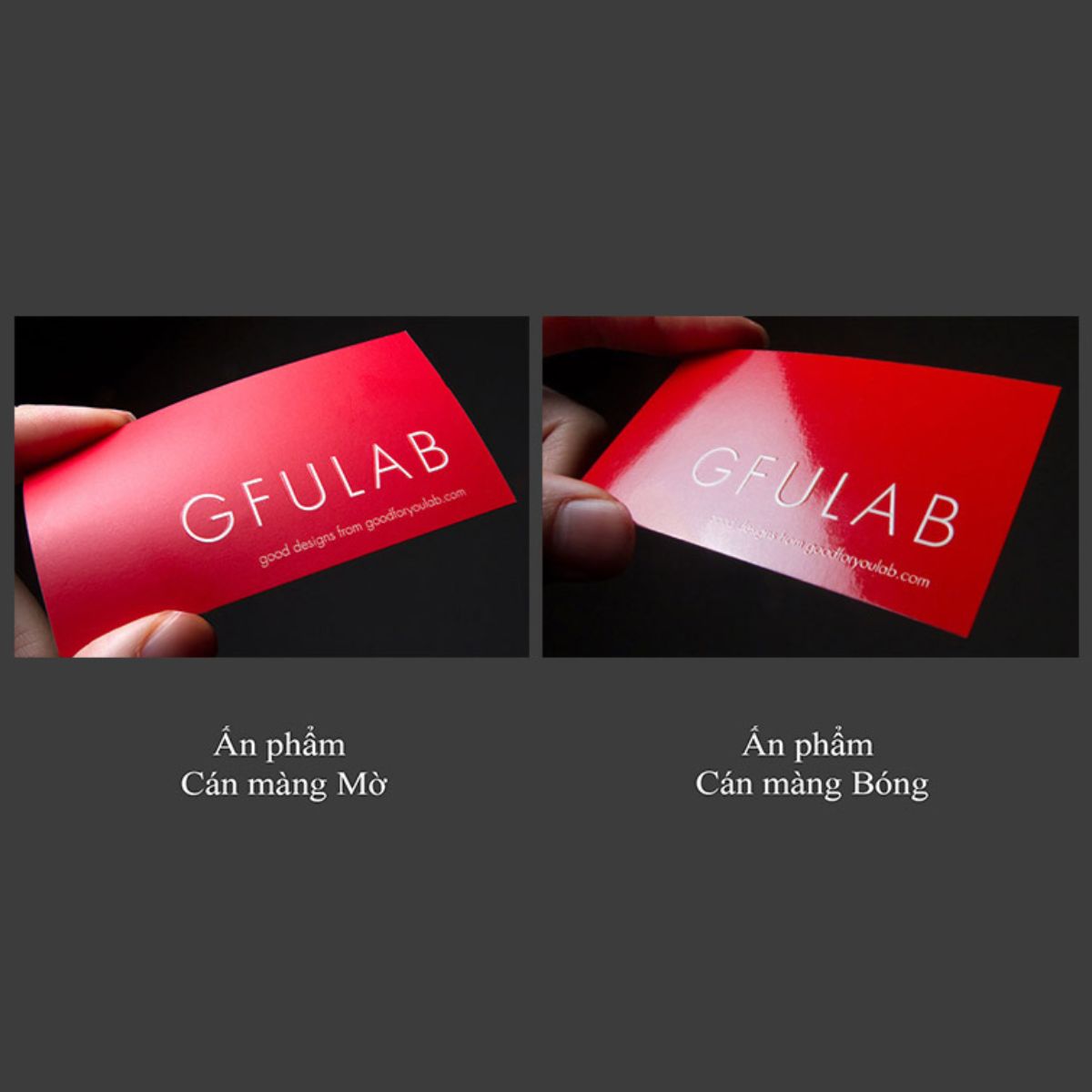 So sánh cán màng bóng và mờ chi tiết