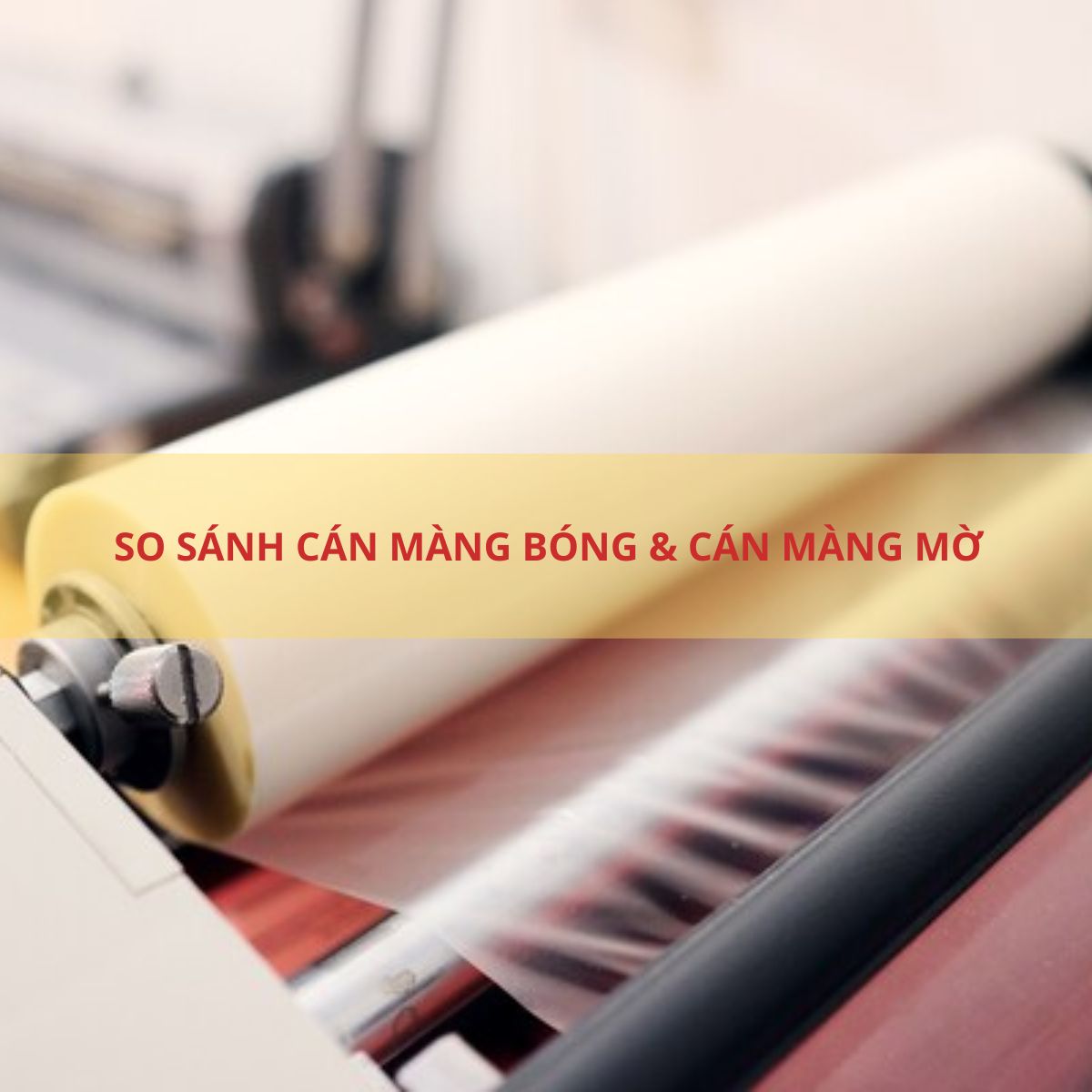 So sánh cán màng bóng và mờ