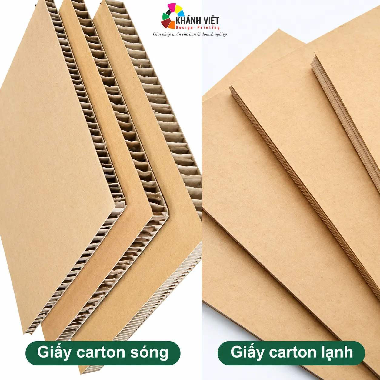 So Sánh Carton Lạnh Và Carton Sóng Thường