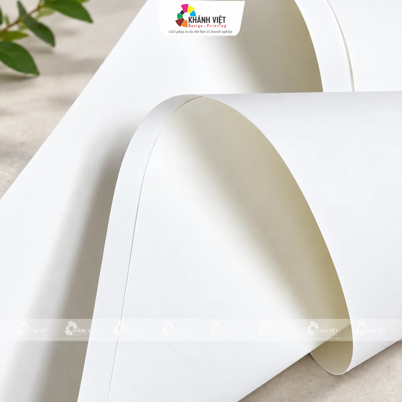 Giấy Couche